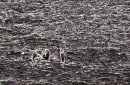 PERUN Regata 2011 - Uhlák foto