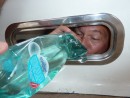 Perun flotila 2012