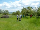 PÁLAVA Tour 2014