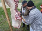PERUN SVIŇA 2014